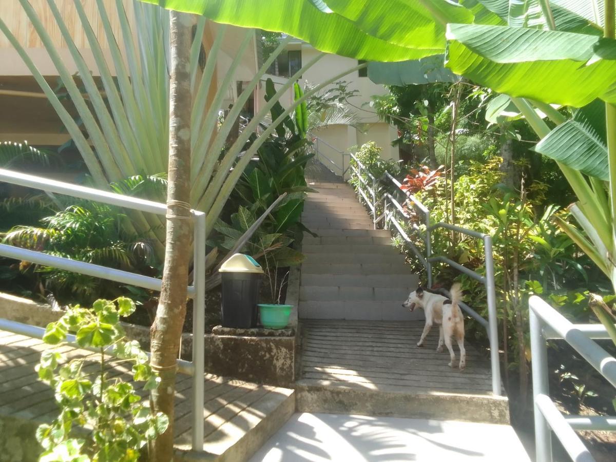 Woodland * El Nido