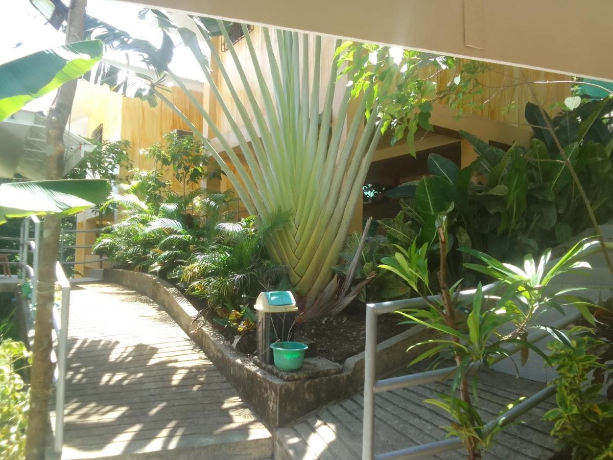 Woodland El Nido