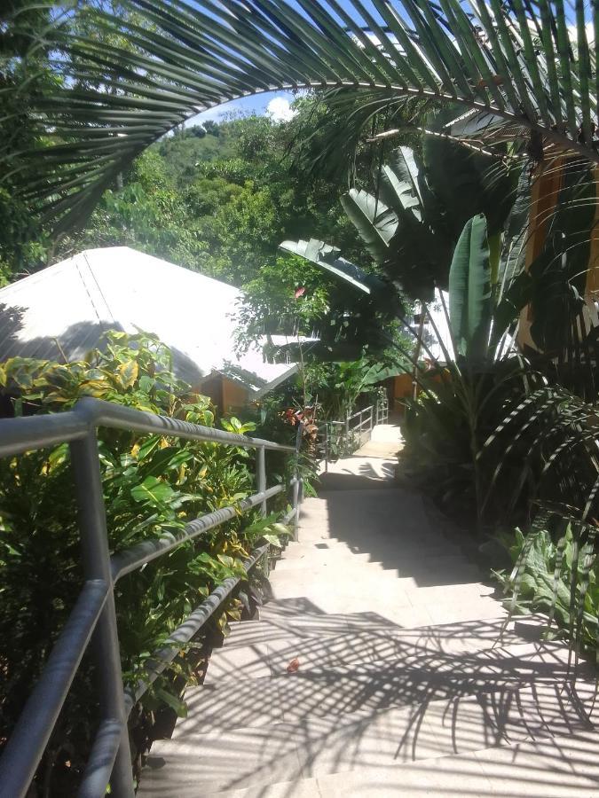 Locanda Woodland El Nido