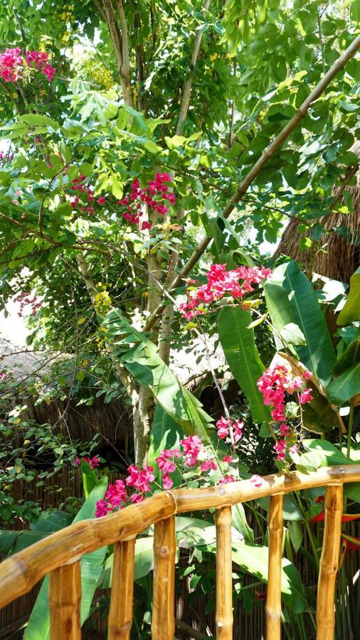 La Colonial (adults Only) bahay-panuluyan