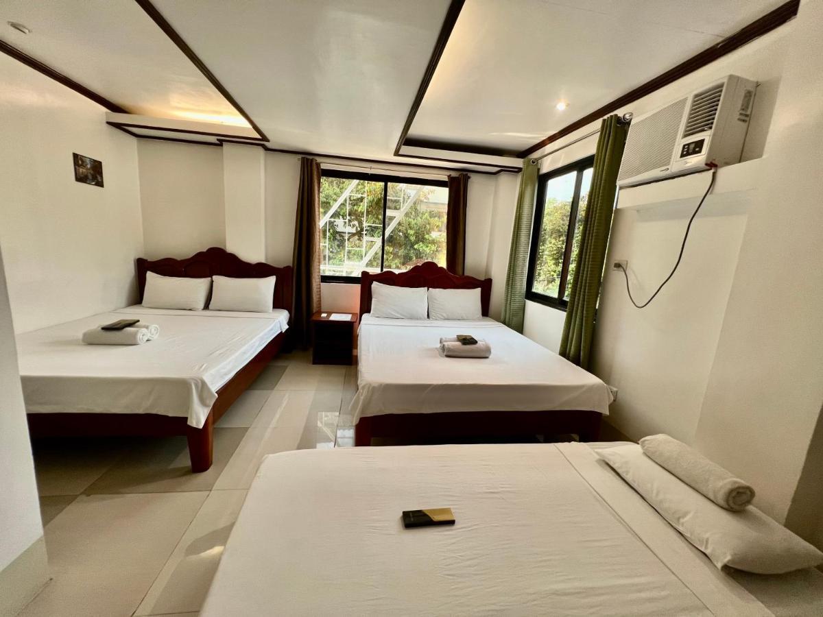 Alocasia Hostel