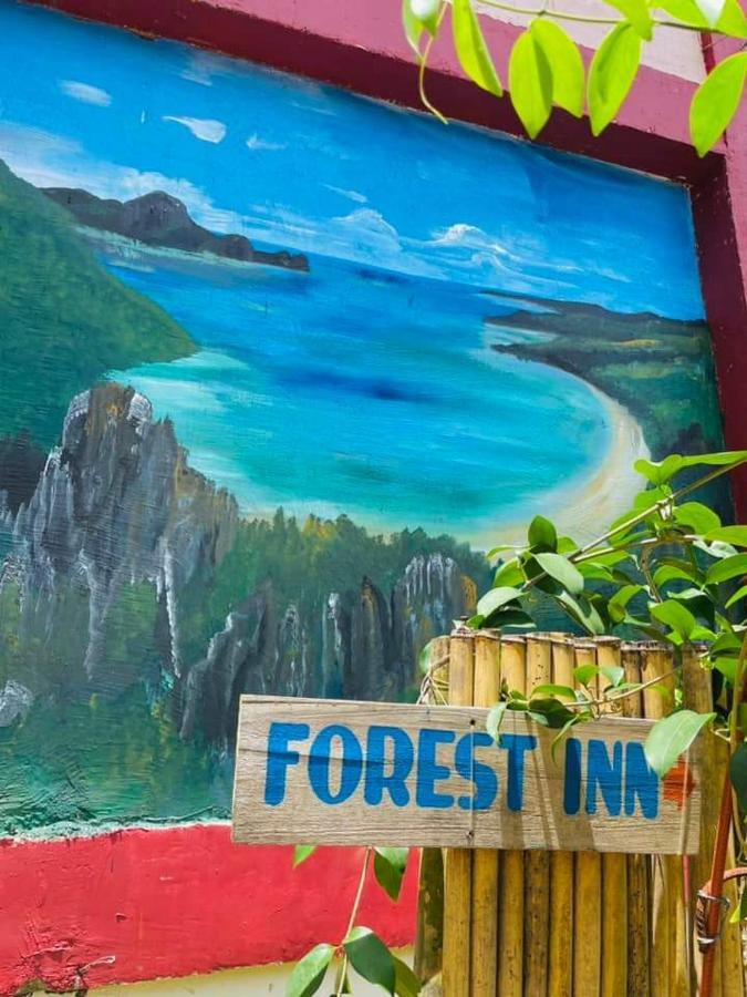 Bed & Breakfast Forest *