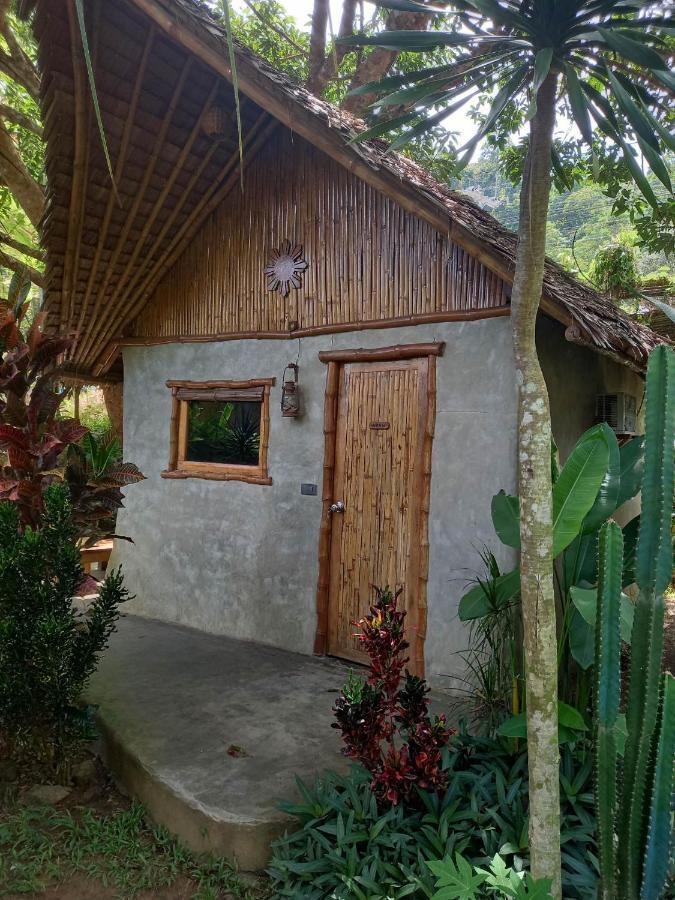 Yucca El Nido