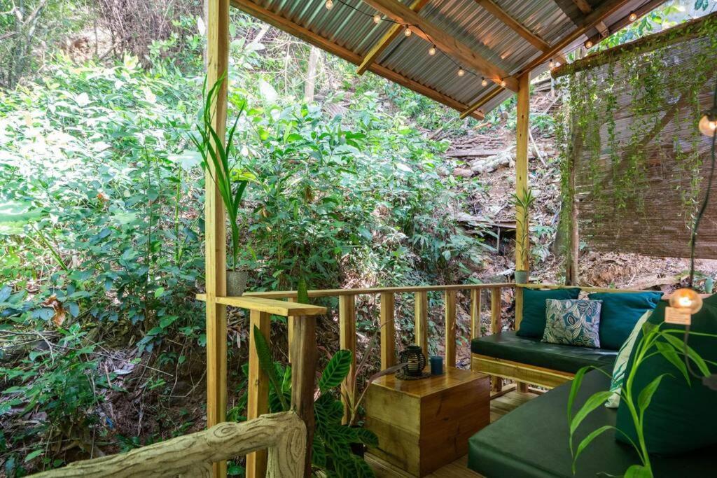 Apartment Jungle View With Terrace