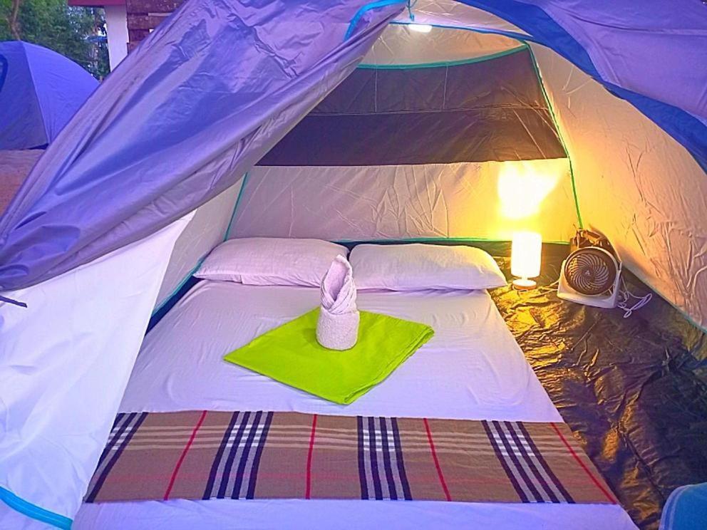 Bucana Kamp Payapa Beachfront *