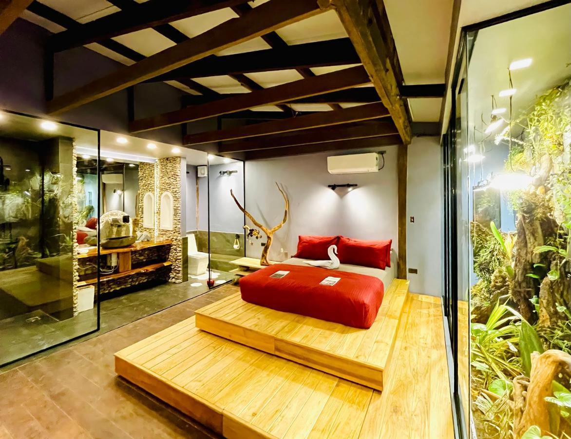 Rockinnest * El Nido