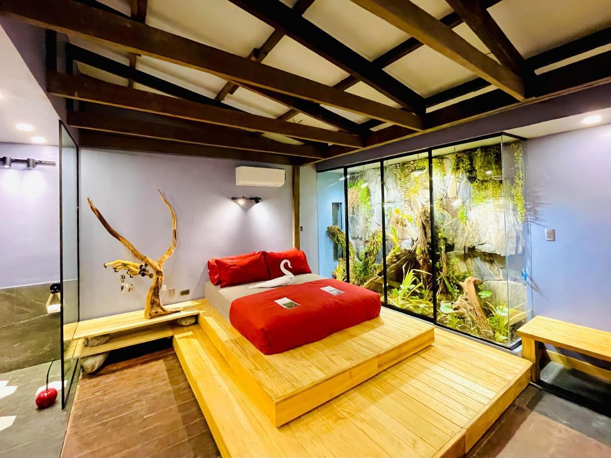 Rockinnest * El Nido