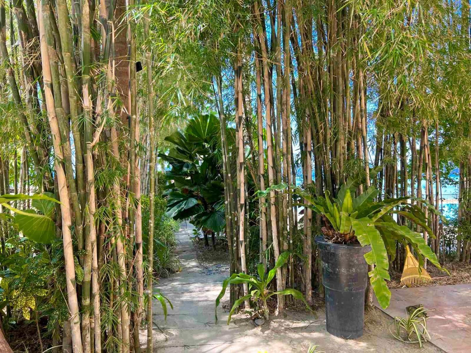 Resort Doublegem And