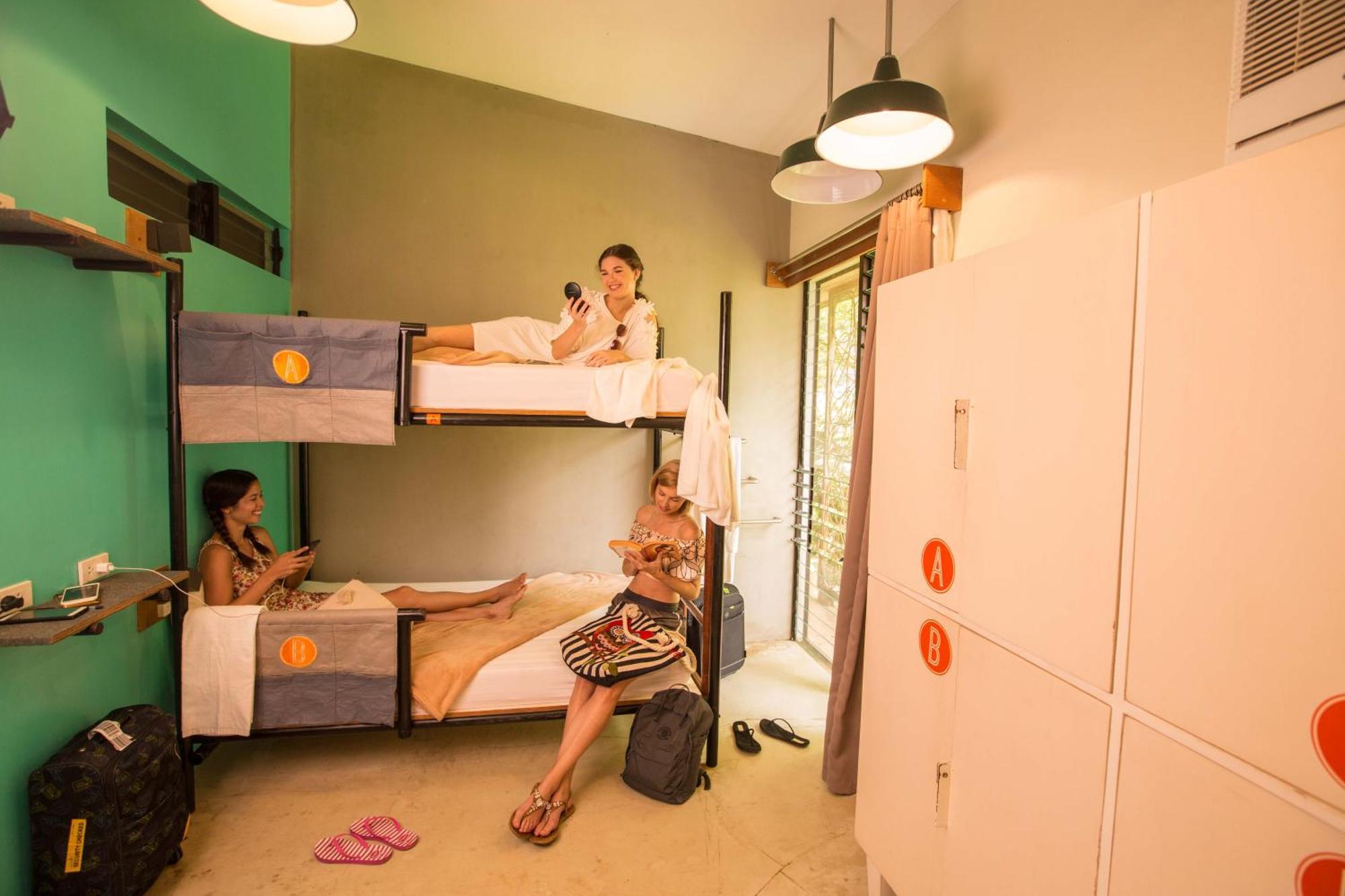Spin Designer - Hostel *