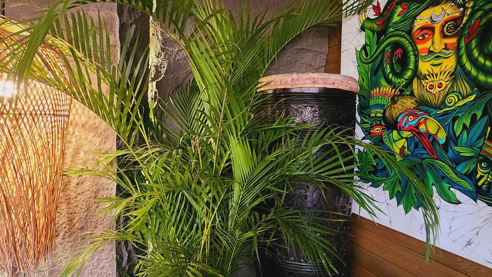 The Jungle -glamping At Karuna El Nido