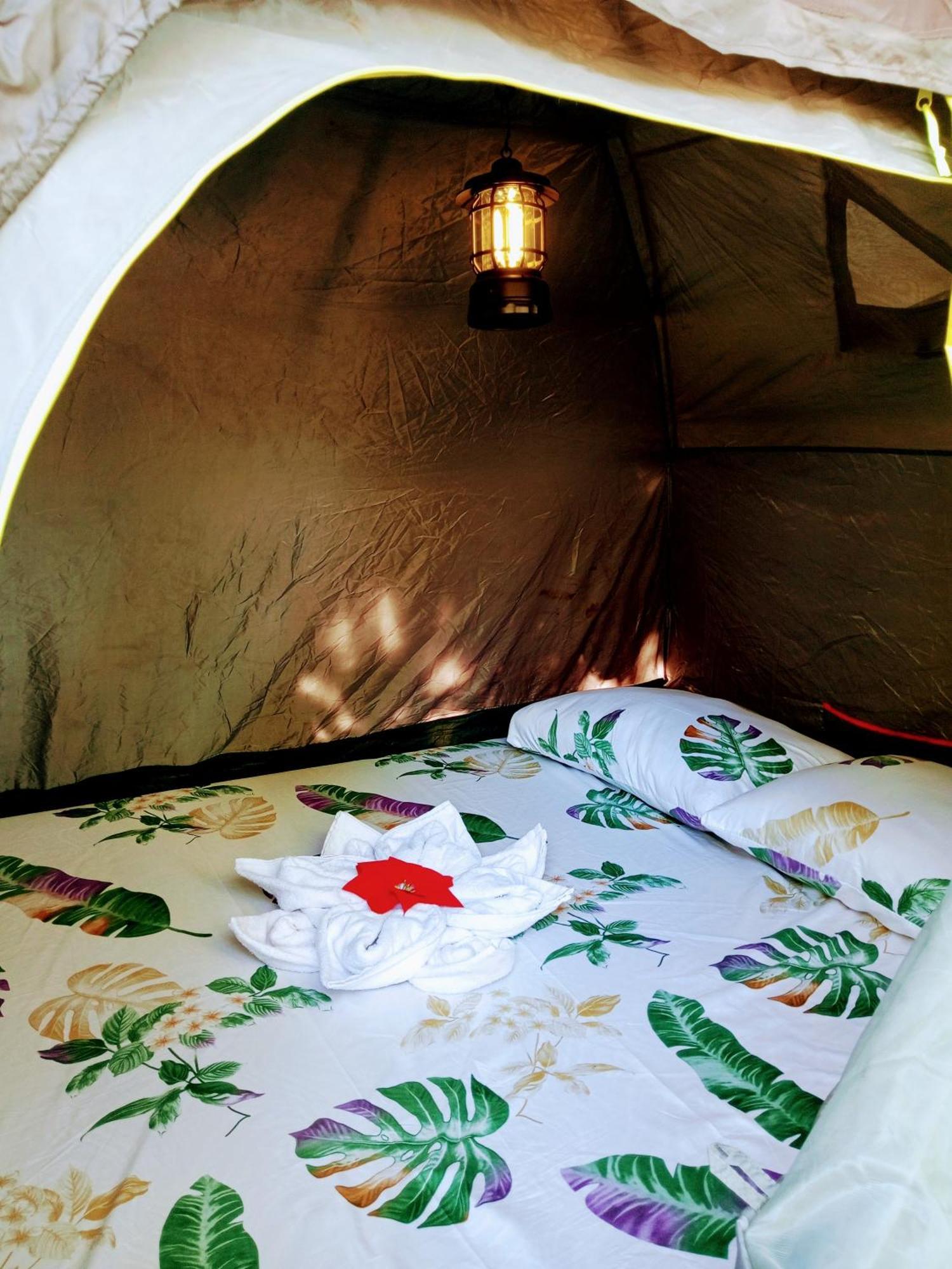 Campsite Bucana Camp