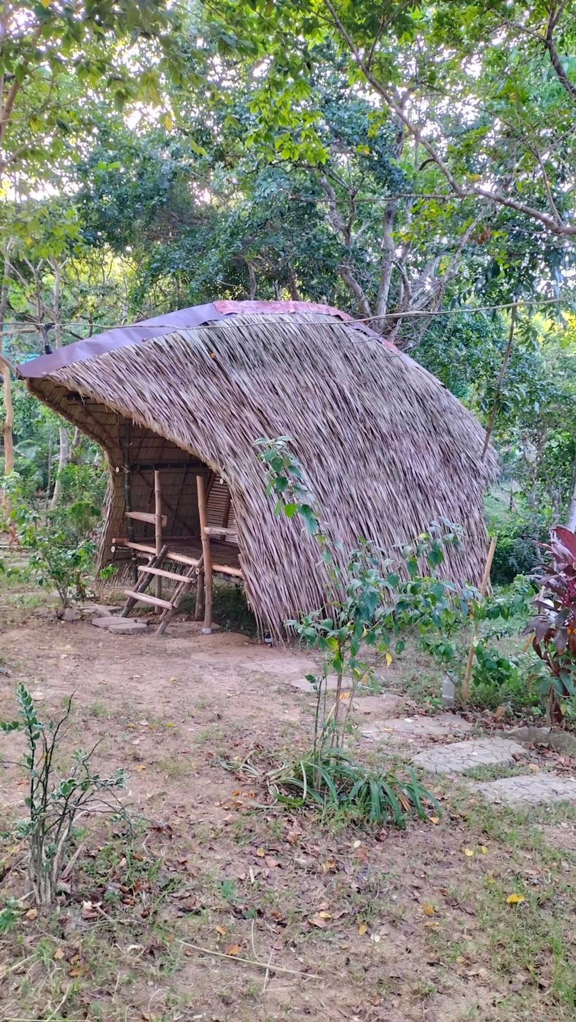 Erlittop Nature Lodge El Nido
