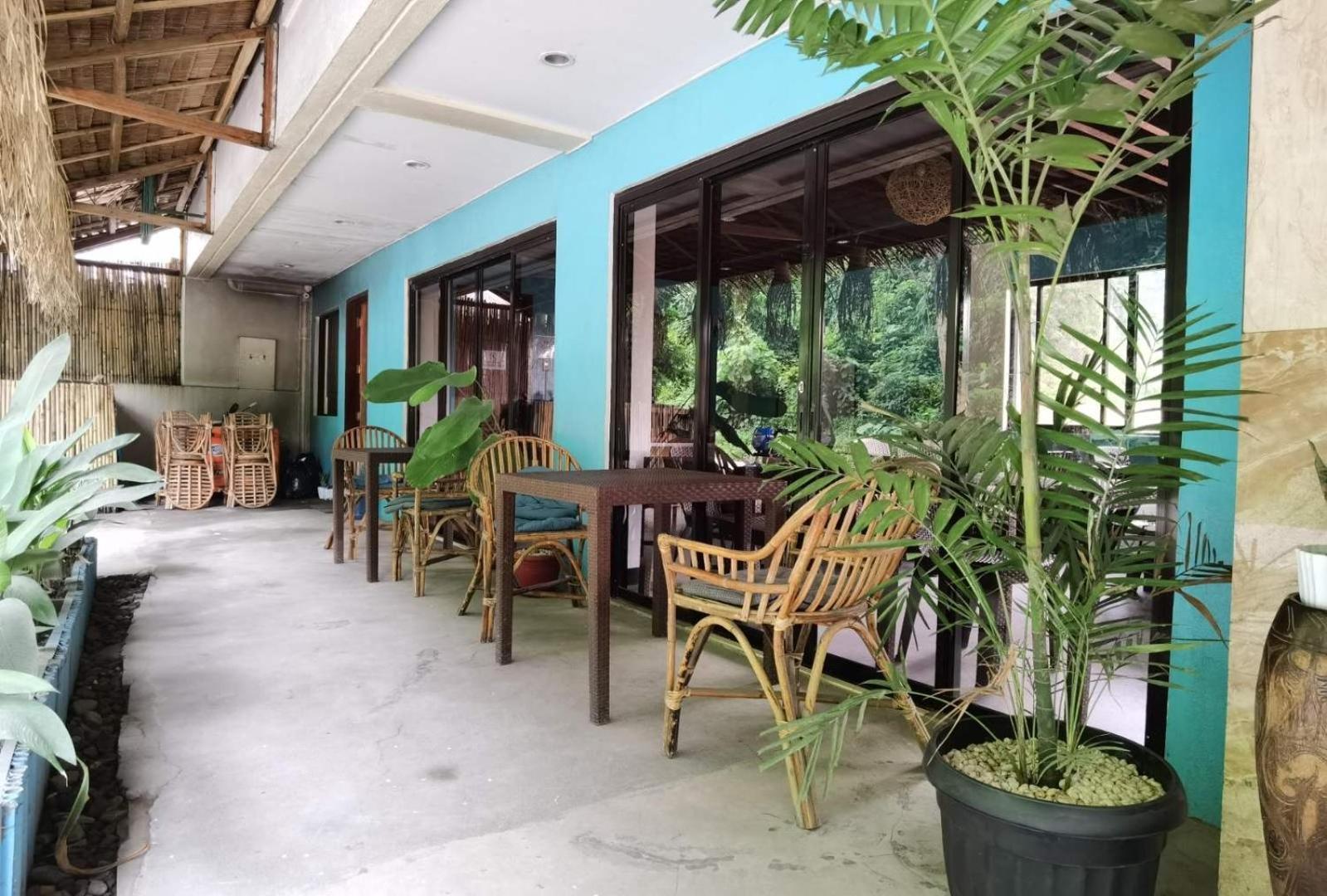 Amos Pili Tree Powered By Cocotel El Nido