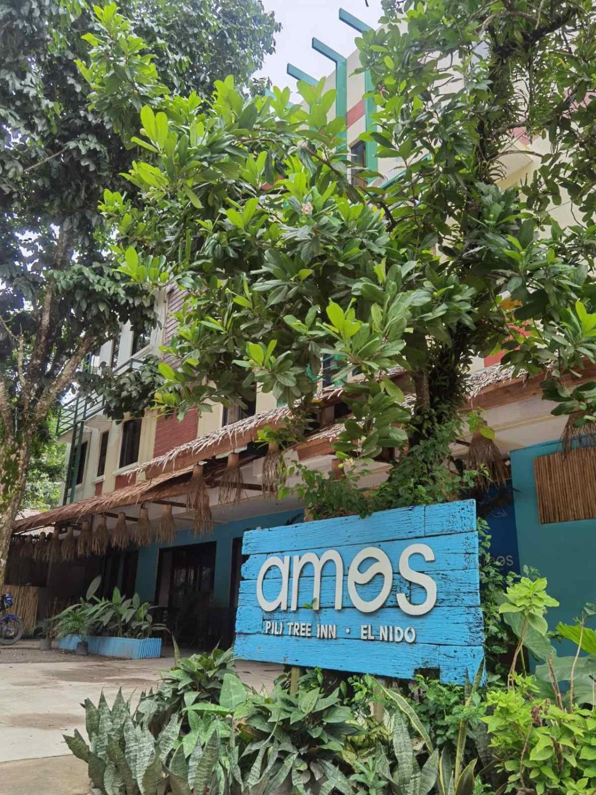 Amos Pili Tree Powered By Cocotel