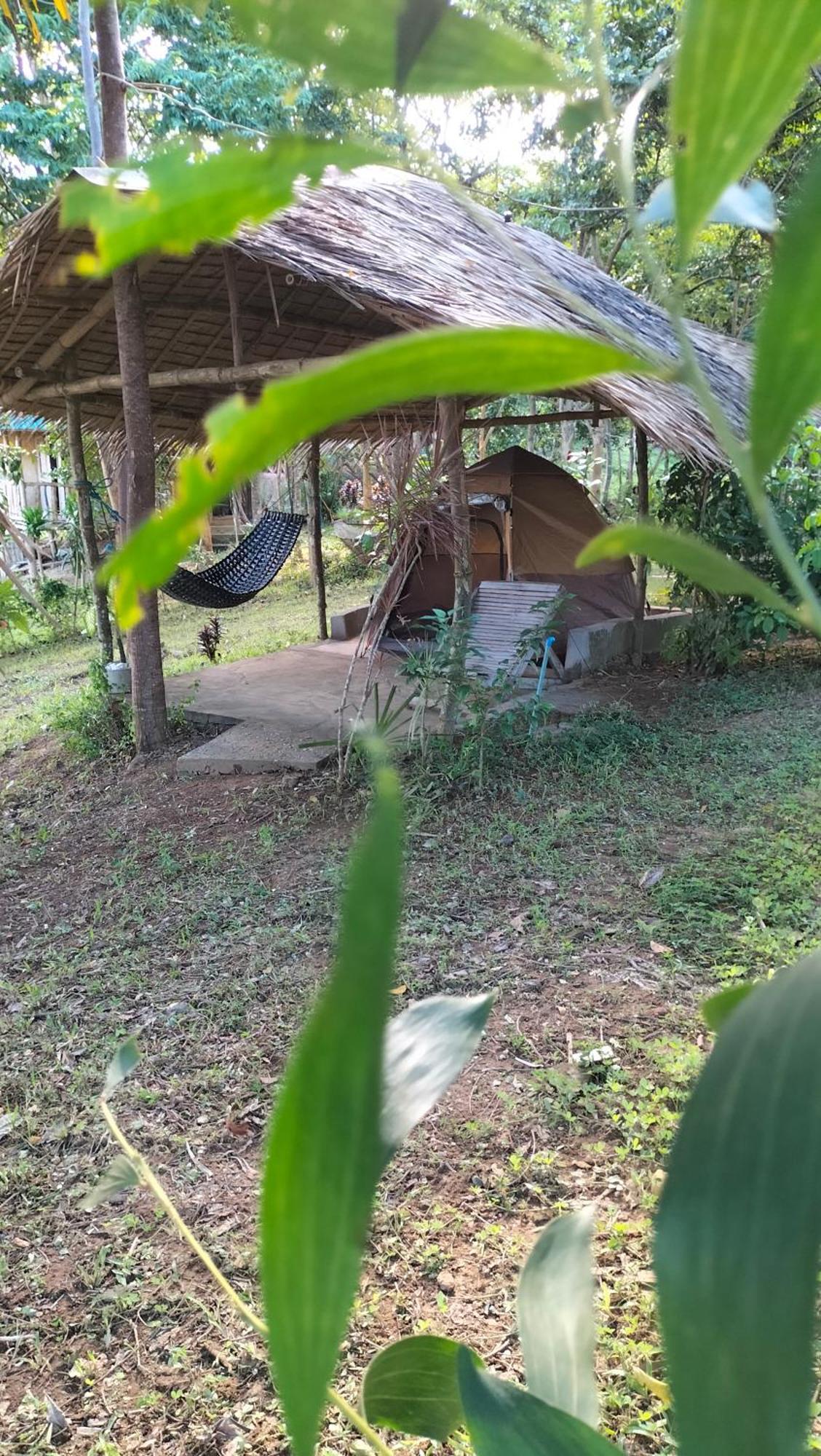 Erlittop Nature Lodge