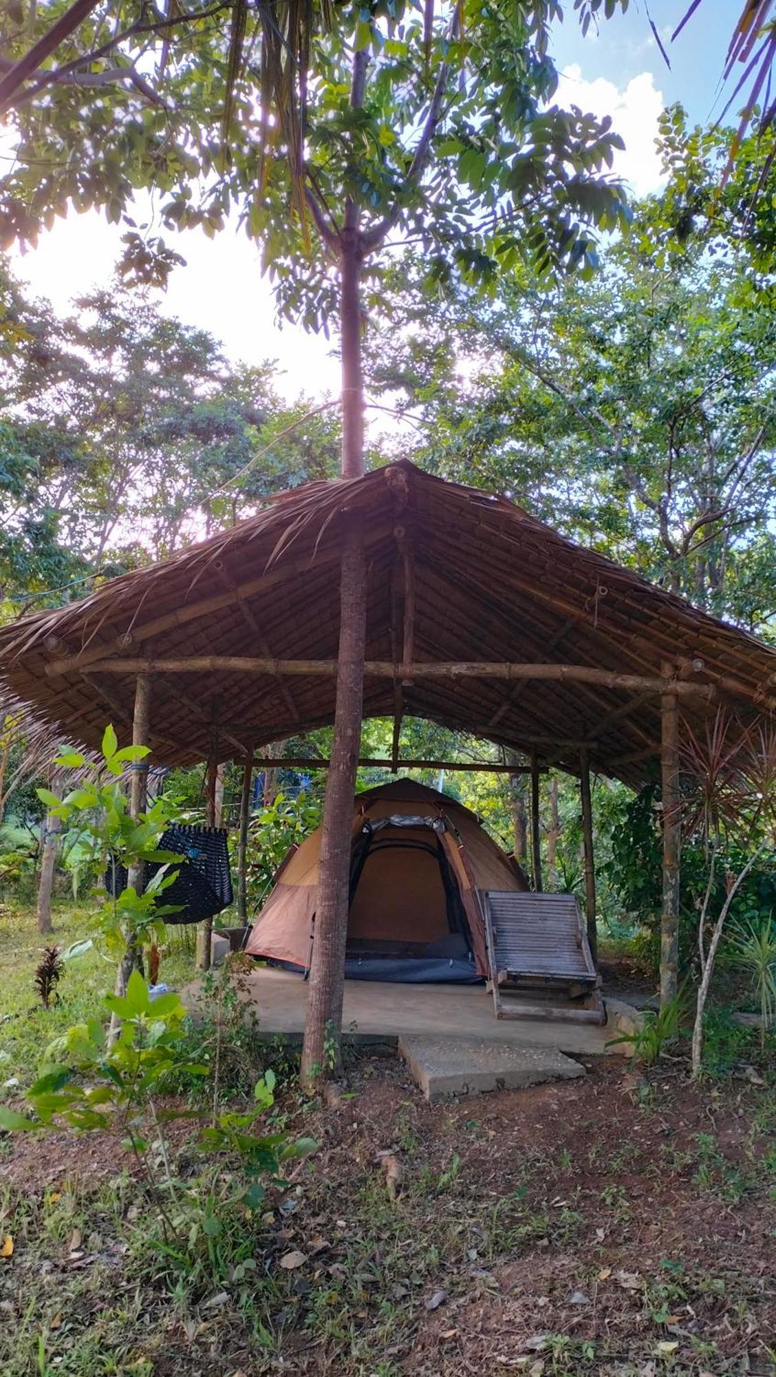 Lodge Erlittop Nature *
