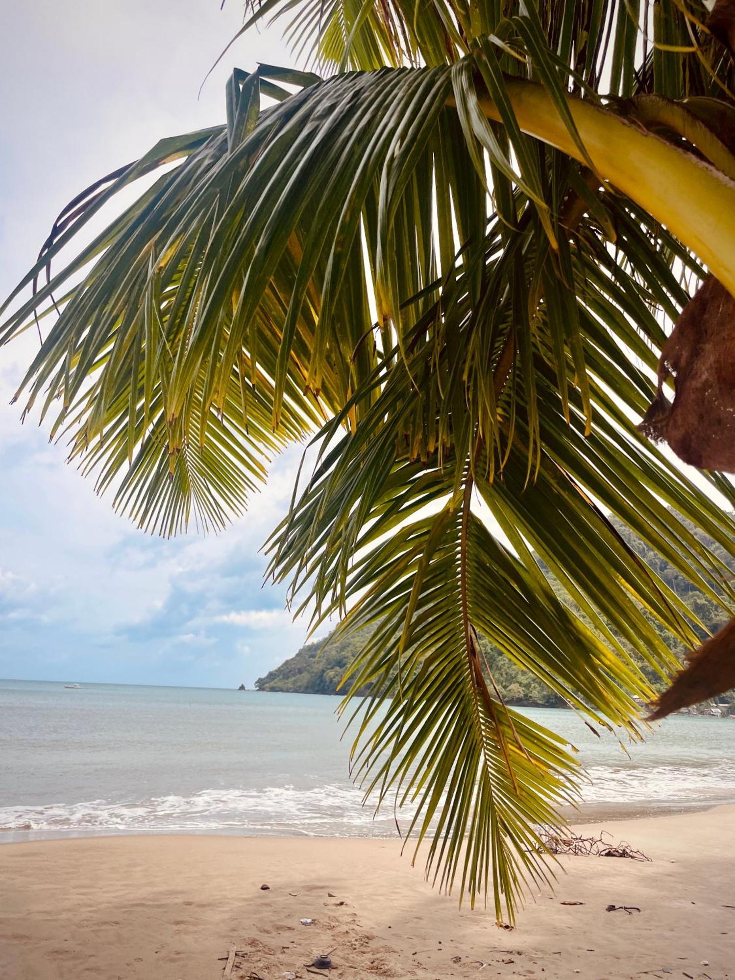 Amwani Breeze El Nido