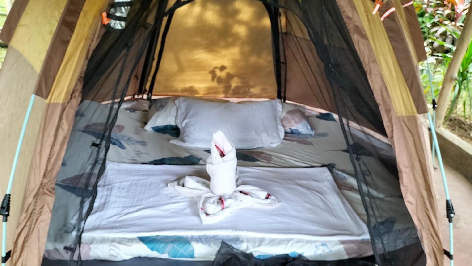 Erlittop Nature Lodge