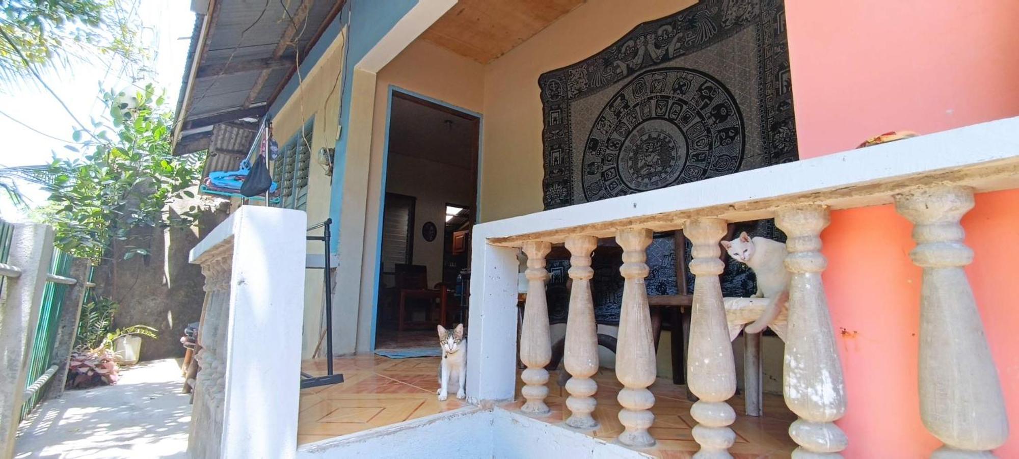 Homestay Jorge & Pony House 2 El Nido