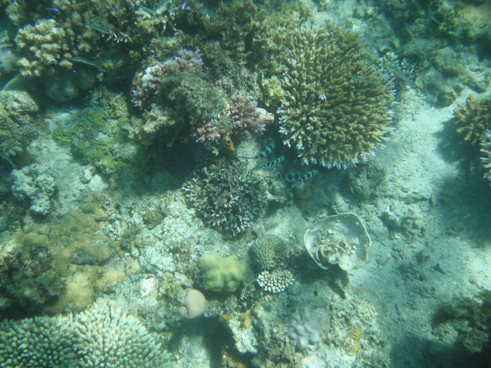 Playa Encantada Resort El Nido