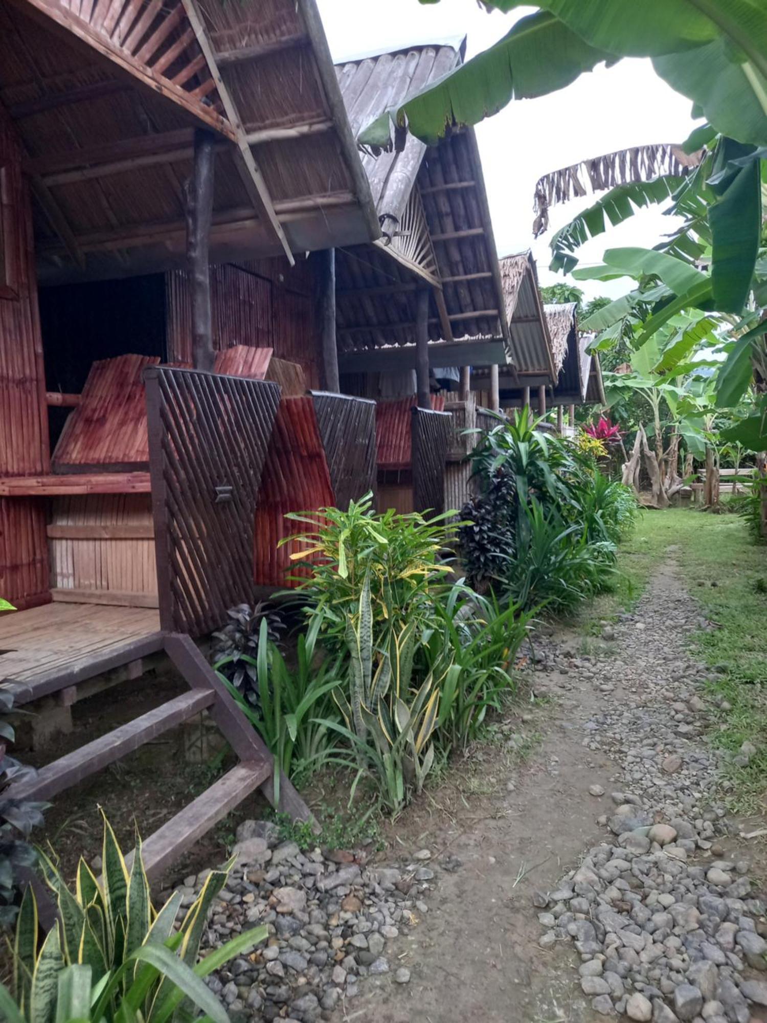 bahay-panuluyan Banana Grove