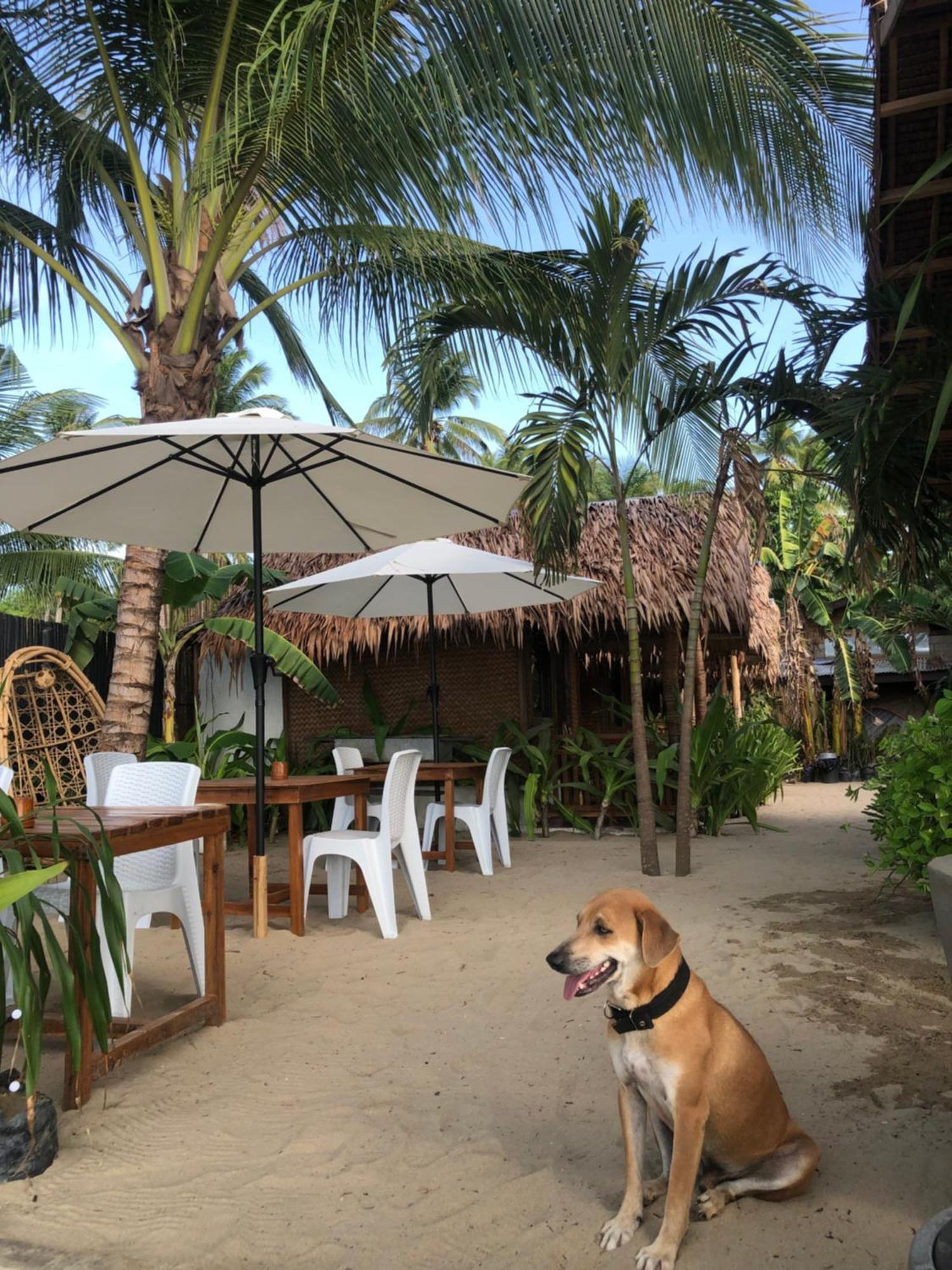 Zhaya's & Inn El Nido