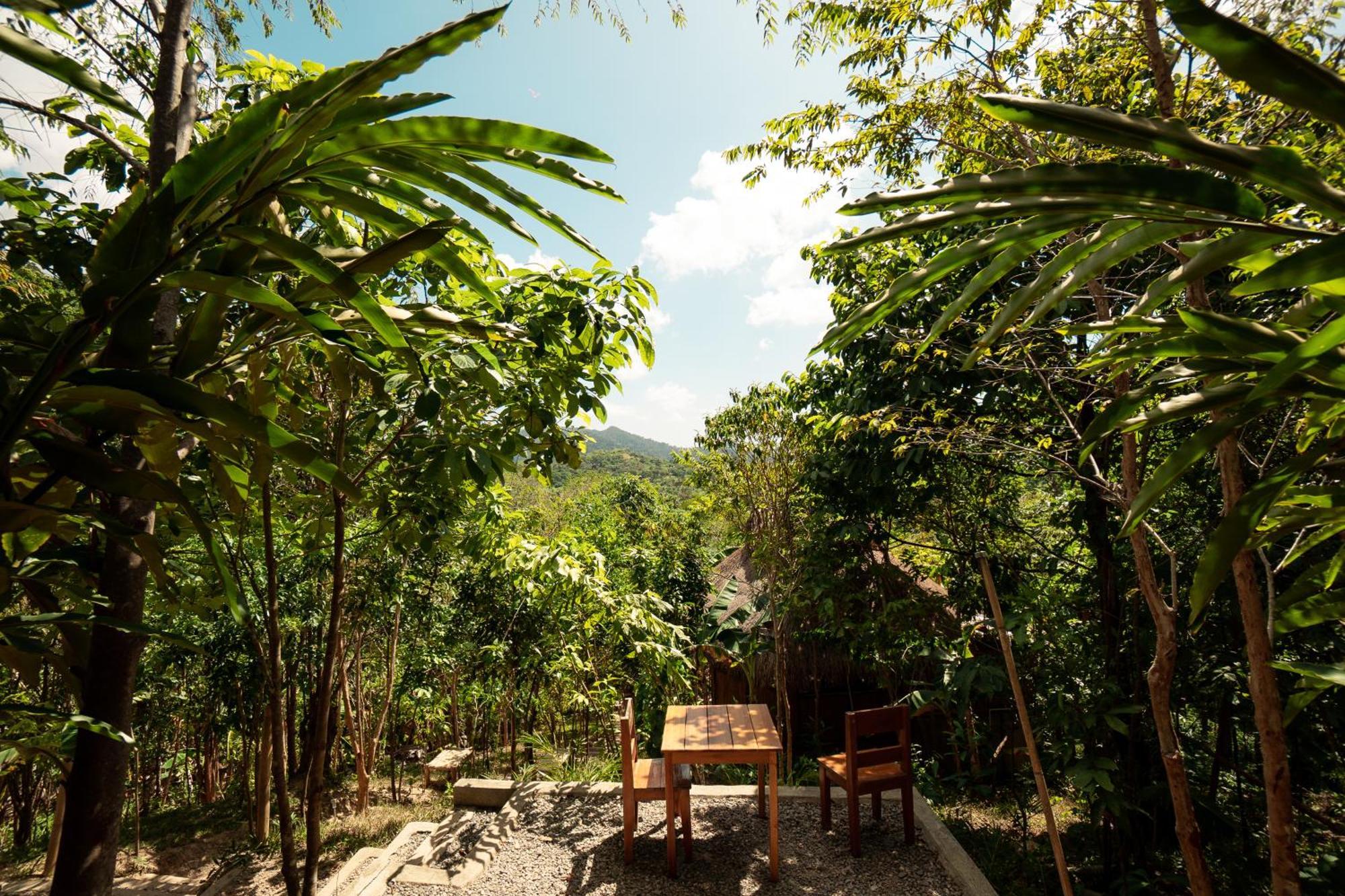 Inigtan Lio Bamboo