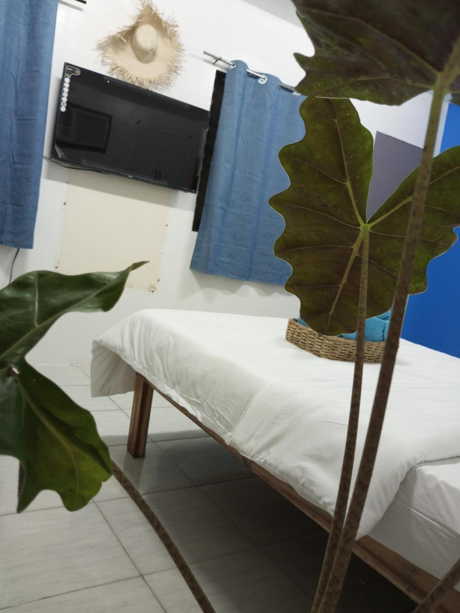 Guest house Laluna El Nido