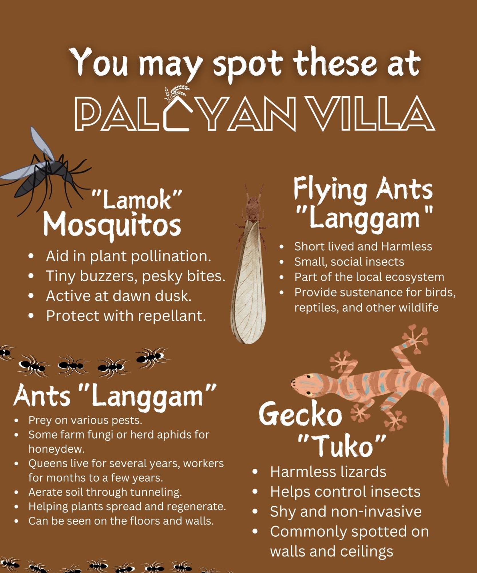 Villa Palayan - With Views, Garden And Pool *