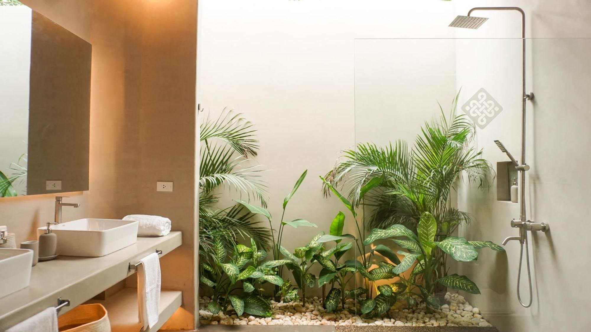 El Salao Villa El Nido