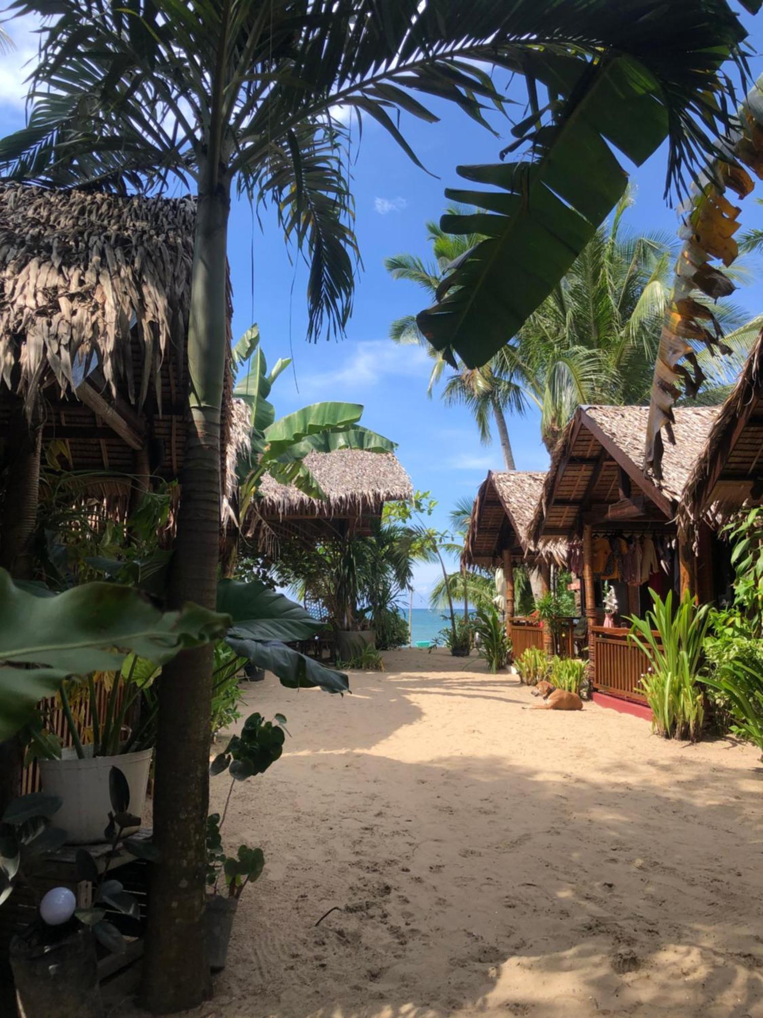 Zhaya's & * El Nido