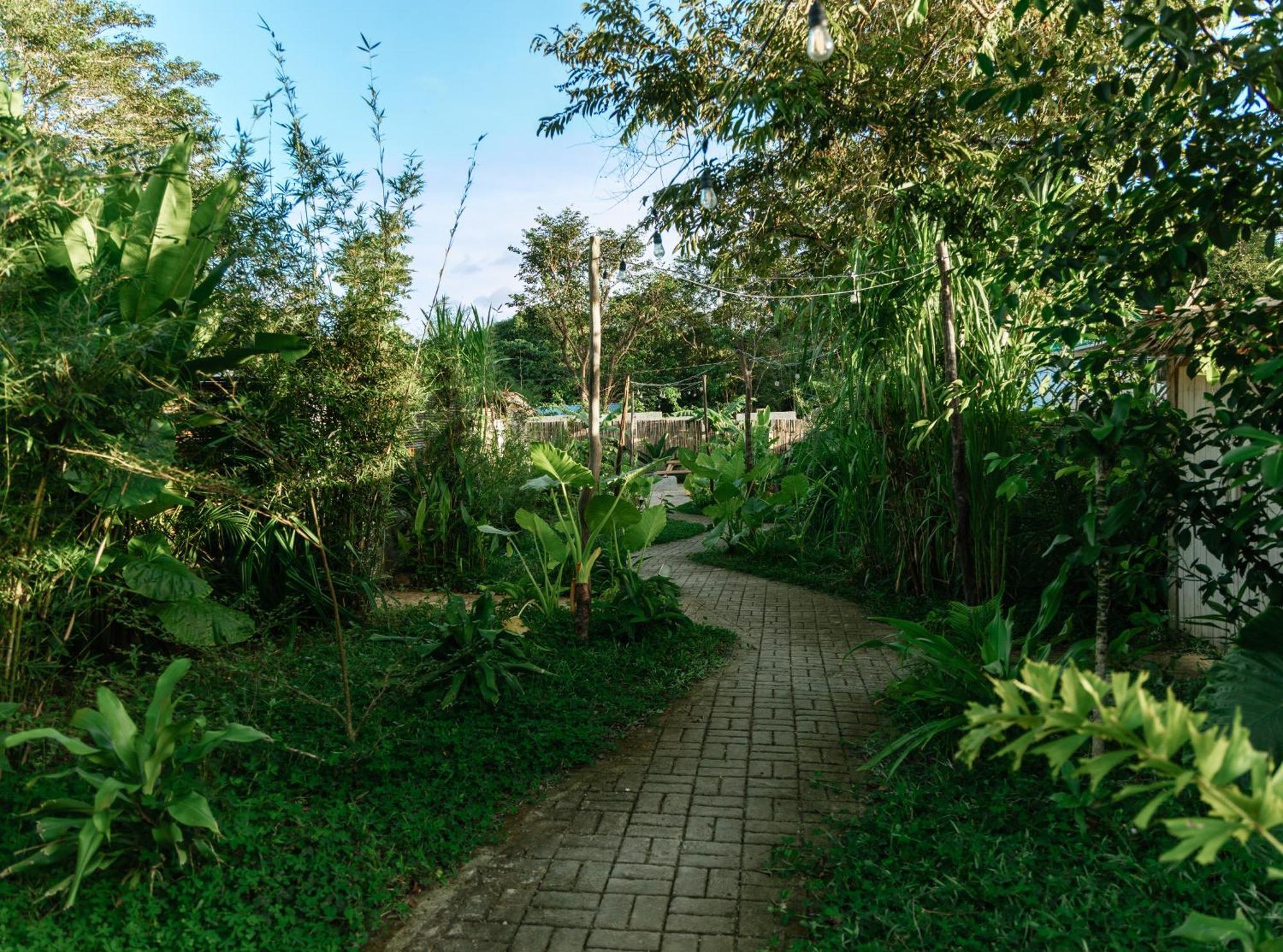 Domes And Dreams Lio Glamping Glamping El Nido