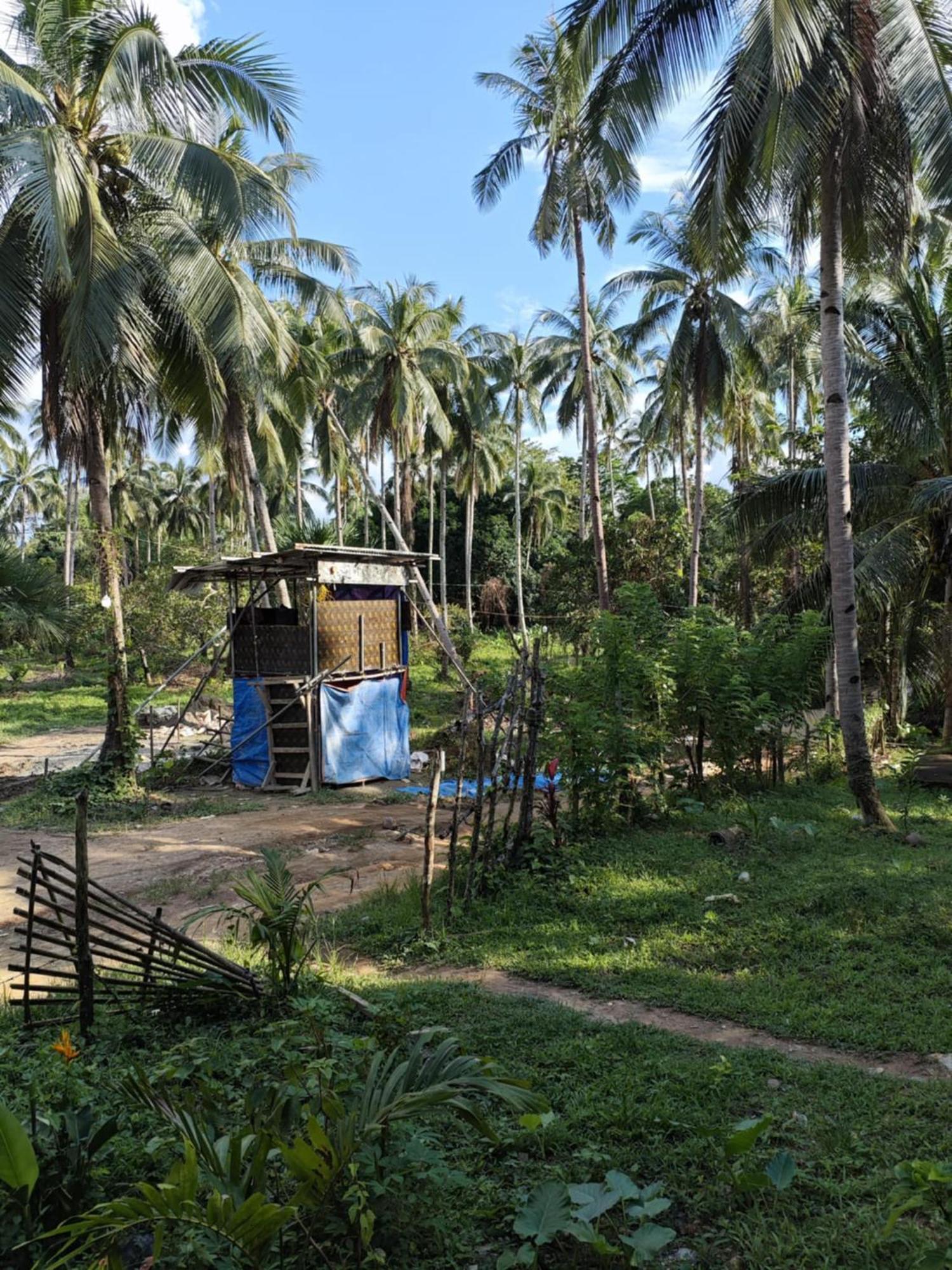 Buhay Probinsya - Bubolongan