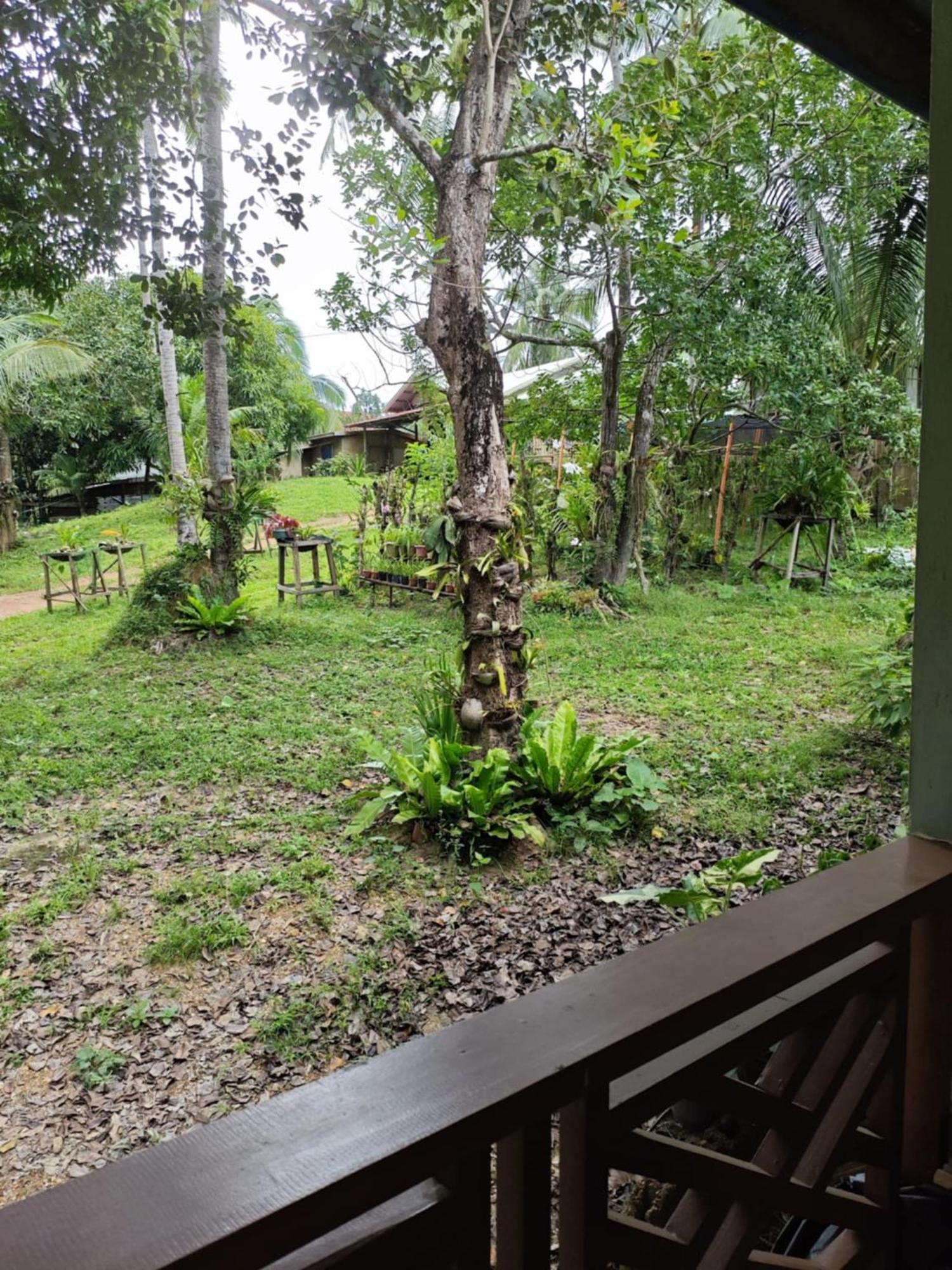 Homestay Buhay Probinsya - Bubolongan