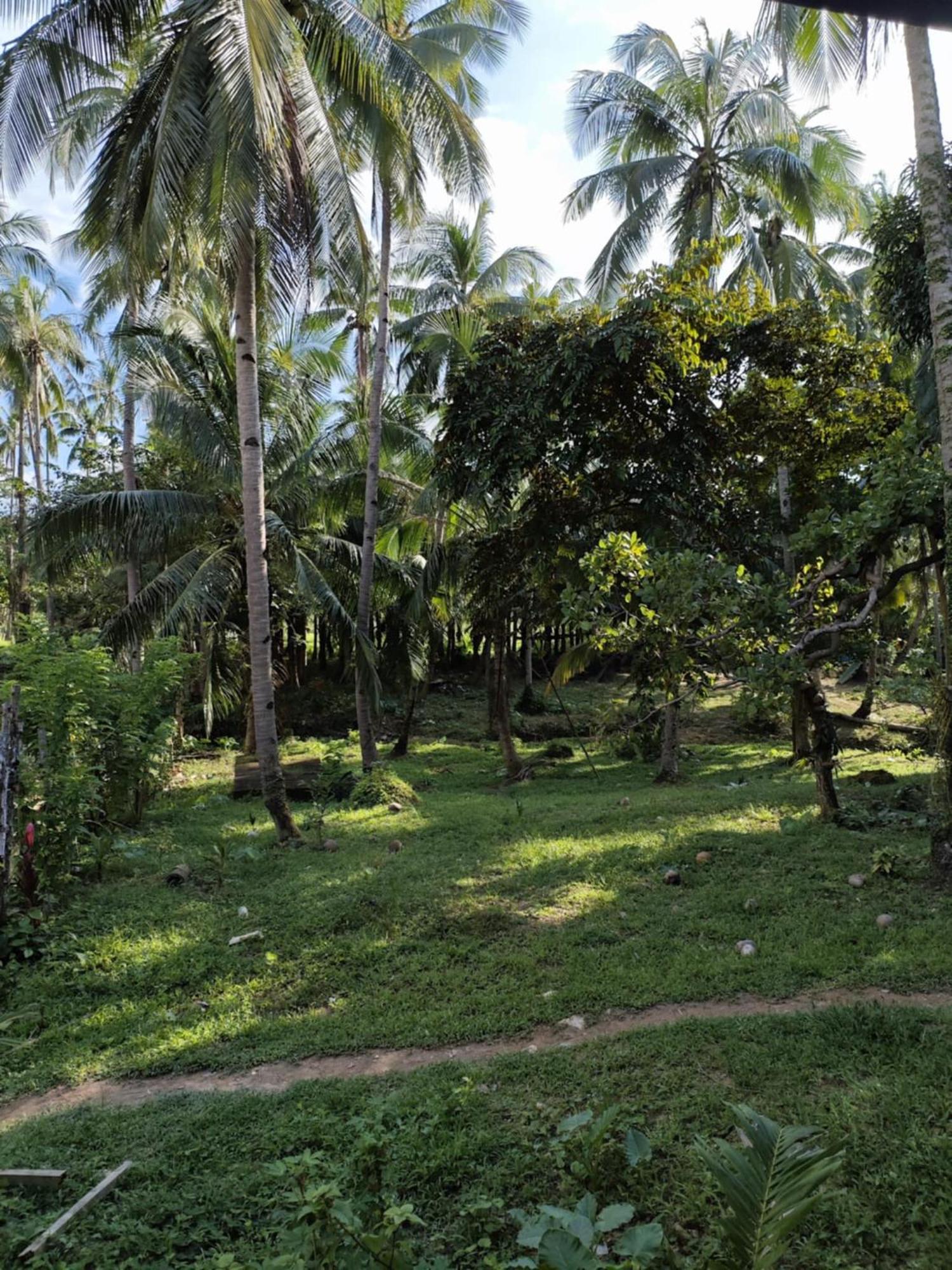 Homestay Buhay Probinsya - Bubolongan *