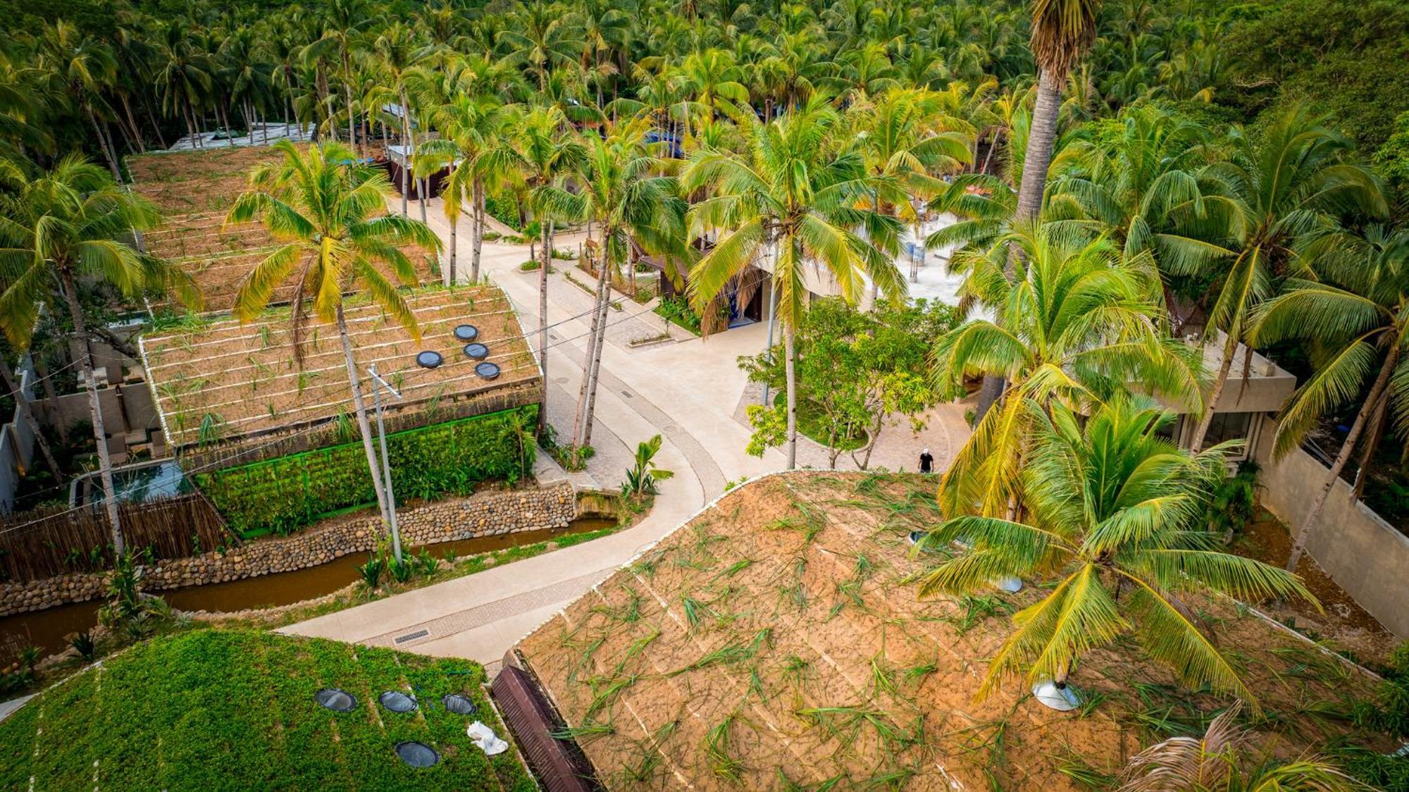 Diwatu Lodge El Nido