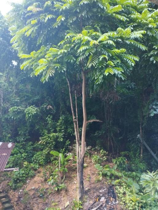 Apartment Psalms Place El Nido
