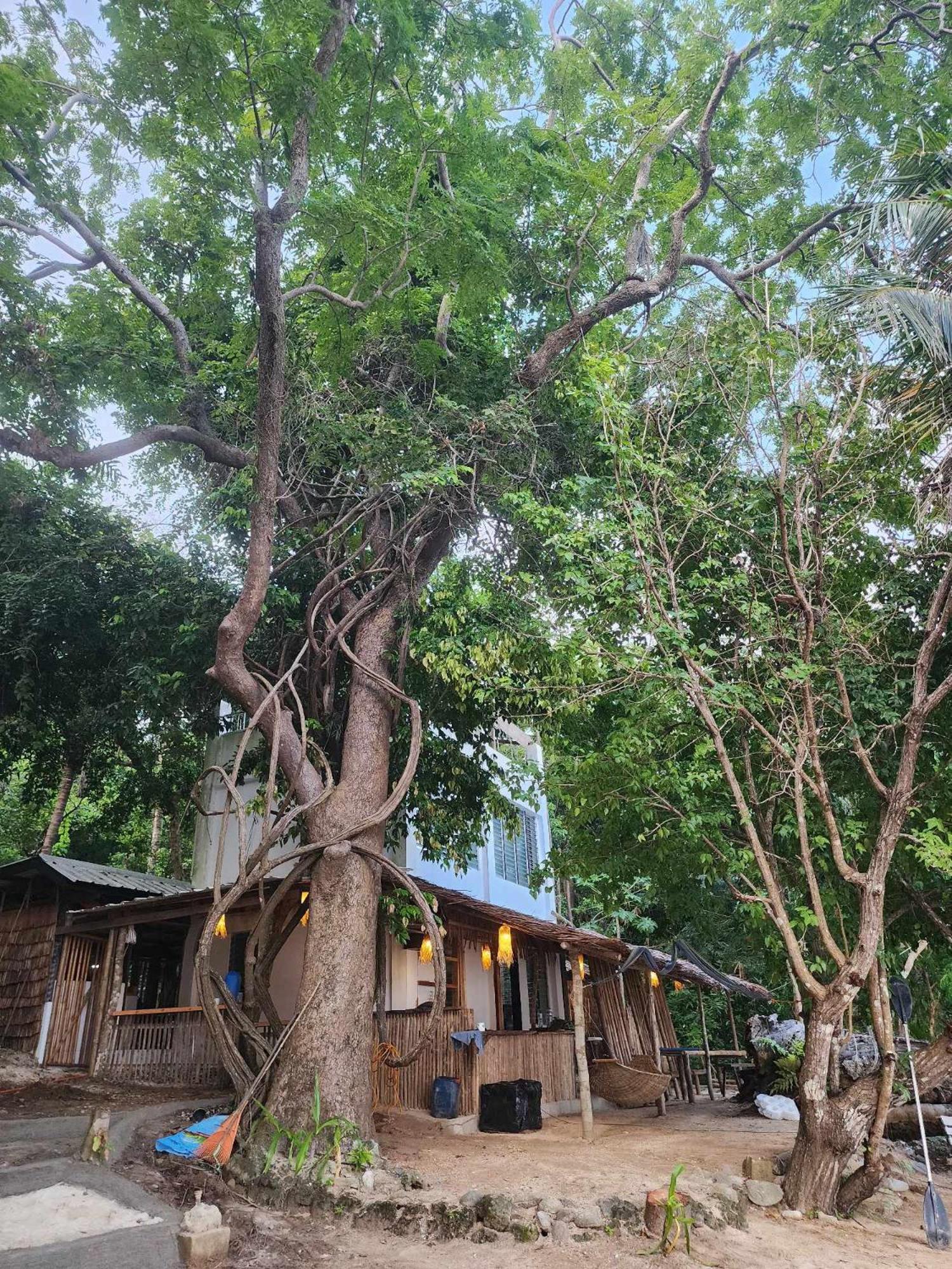 Bice Overlooking Darocotan Lodge