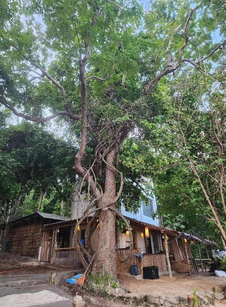 Bice Darocotan Hostel El Nido