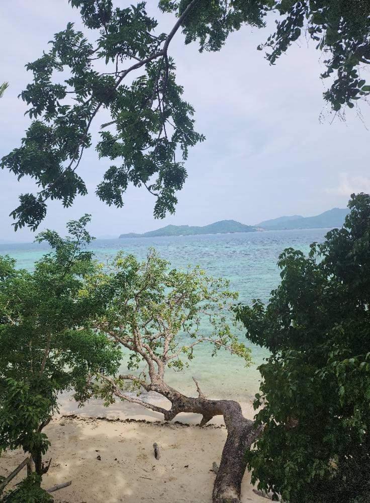 Bice Darocotan Hostel El Nido