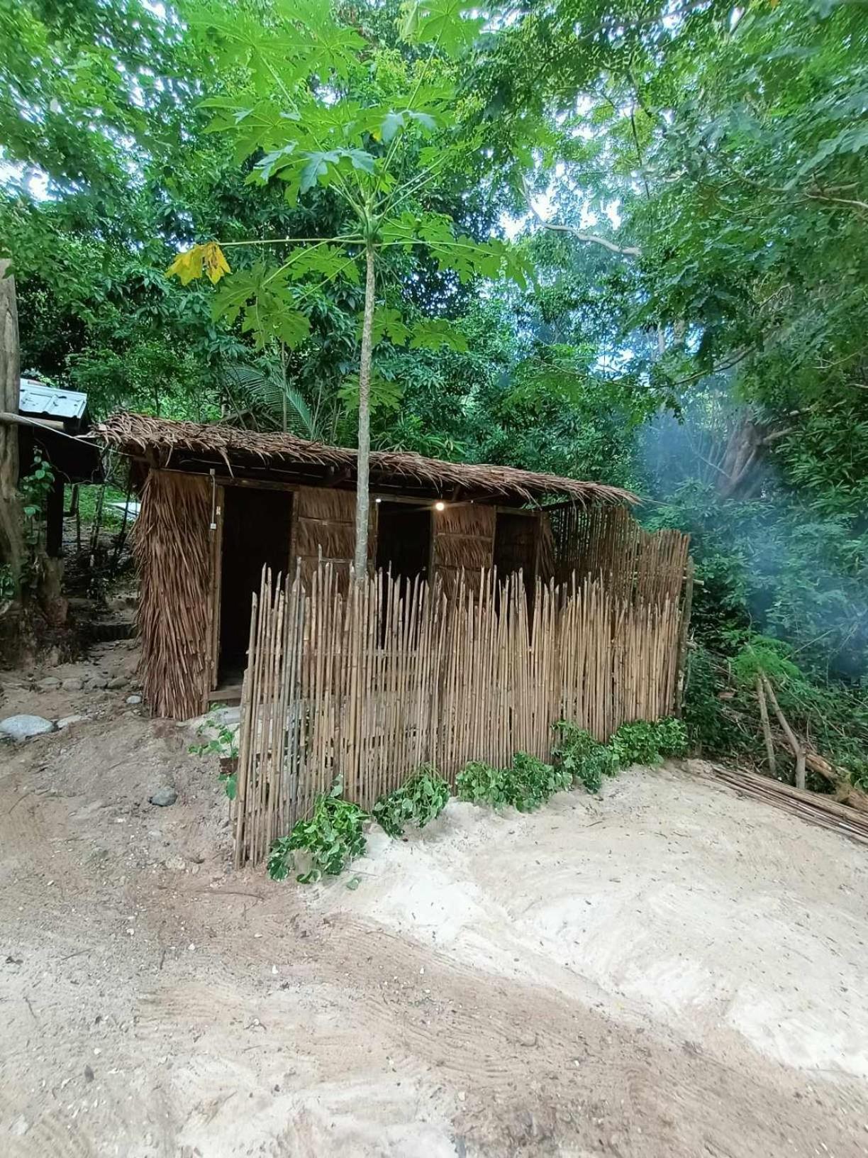 Bice Darocotan Hostel