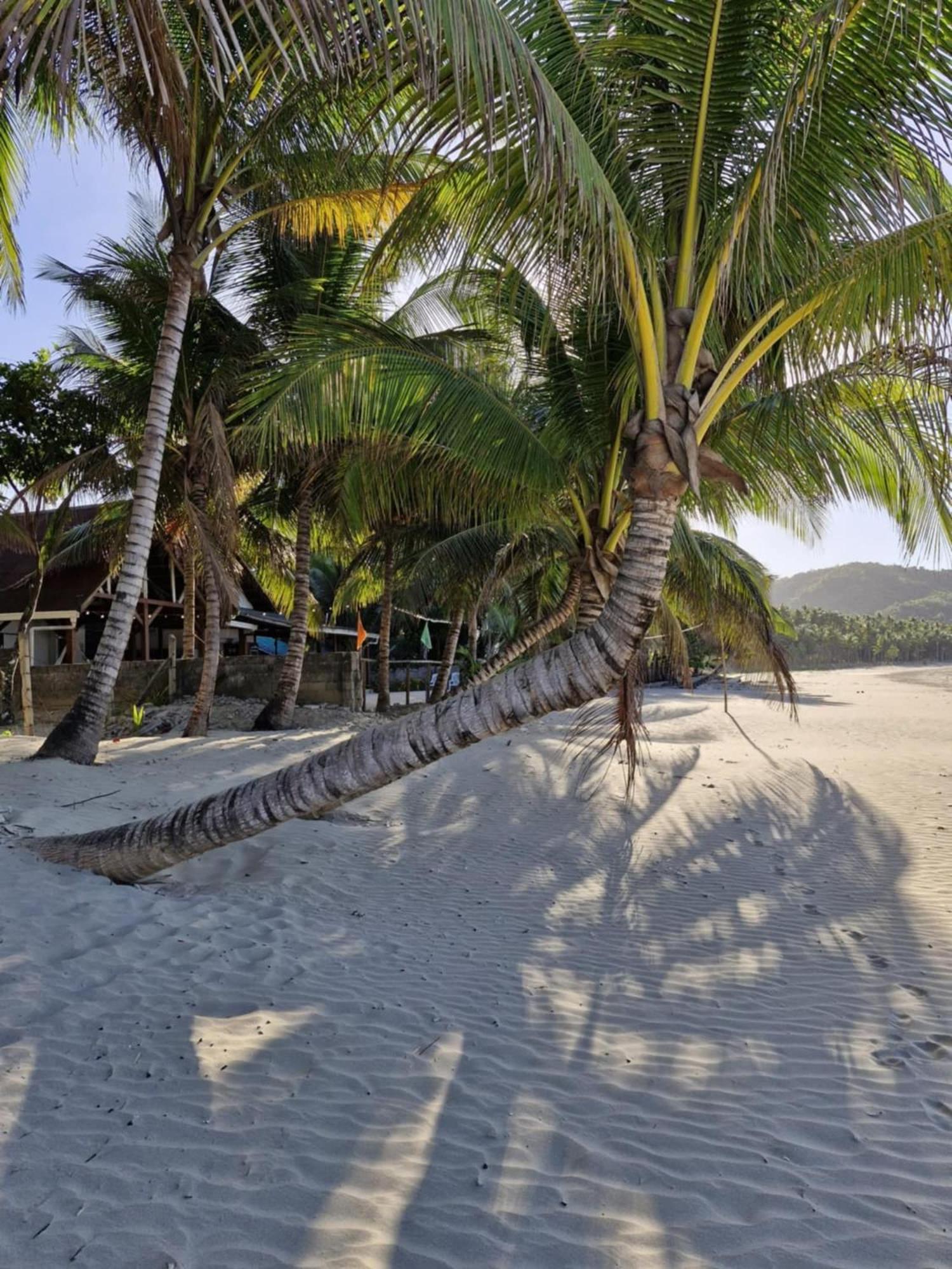 White Hotel El Nido