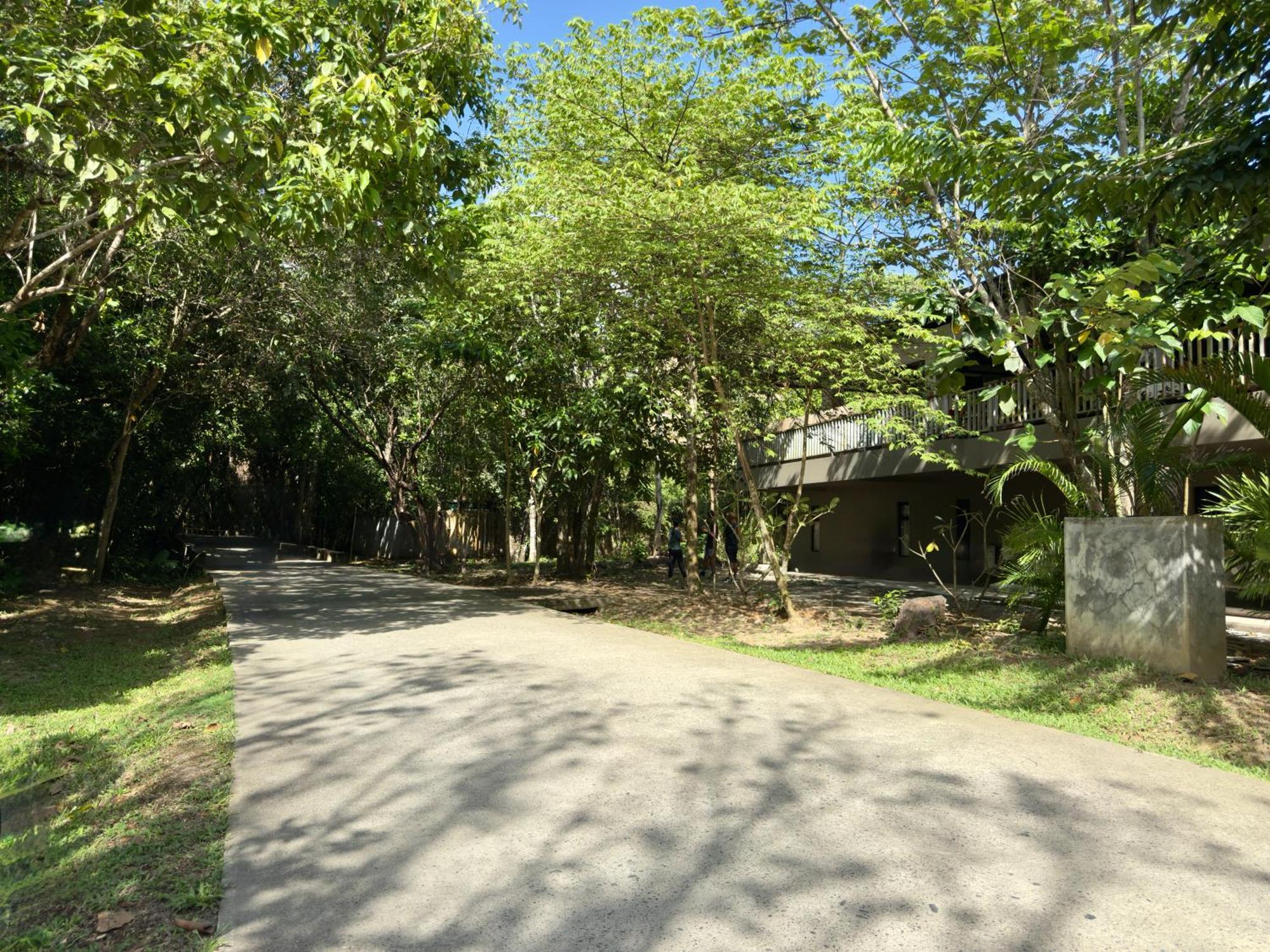 Lakwa