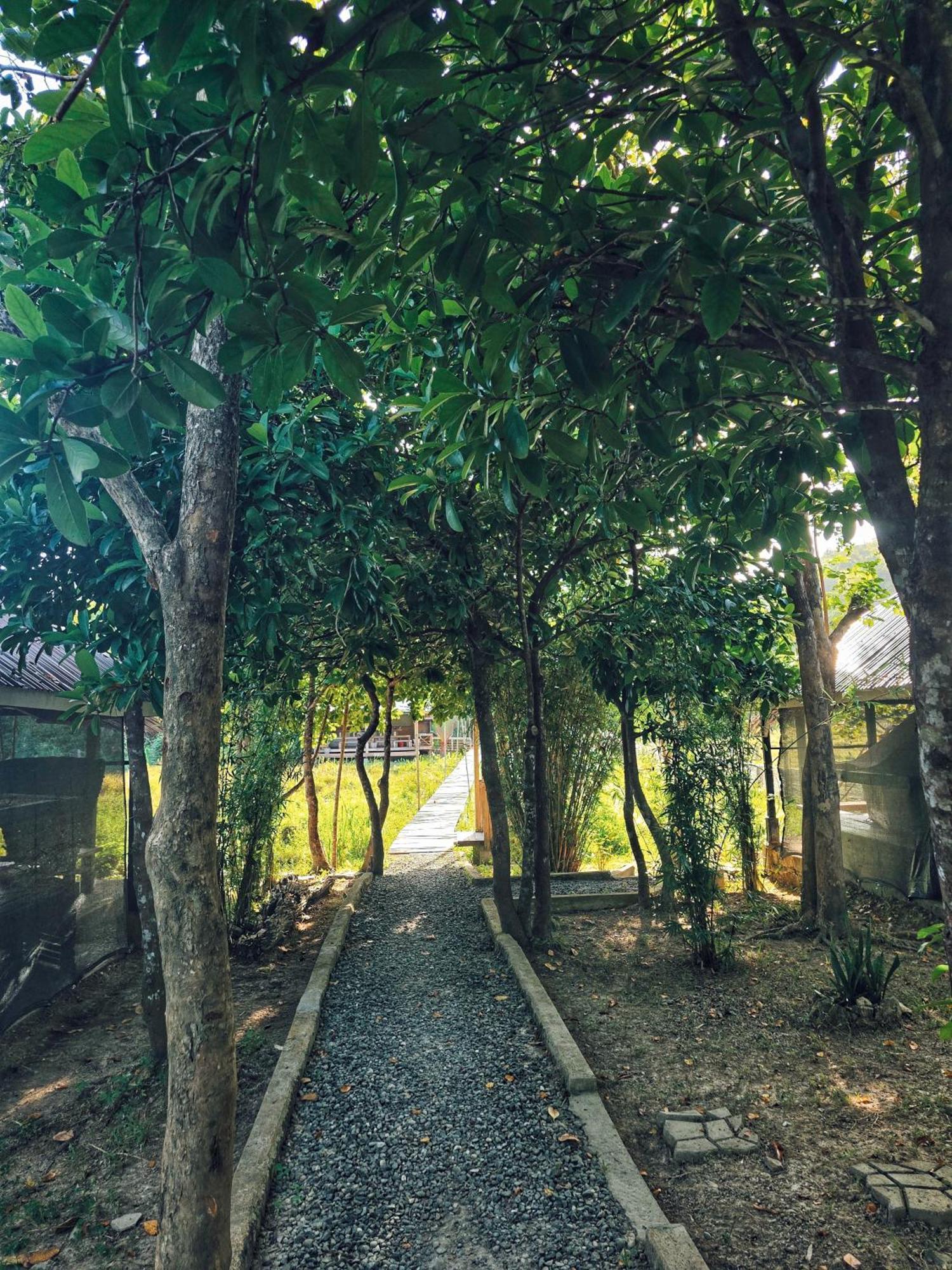 De Nacpan Glamping El Nido