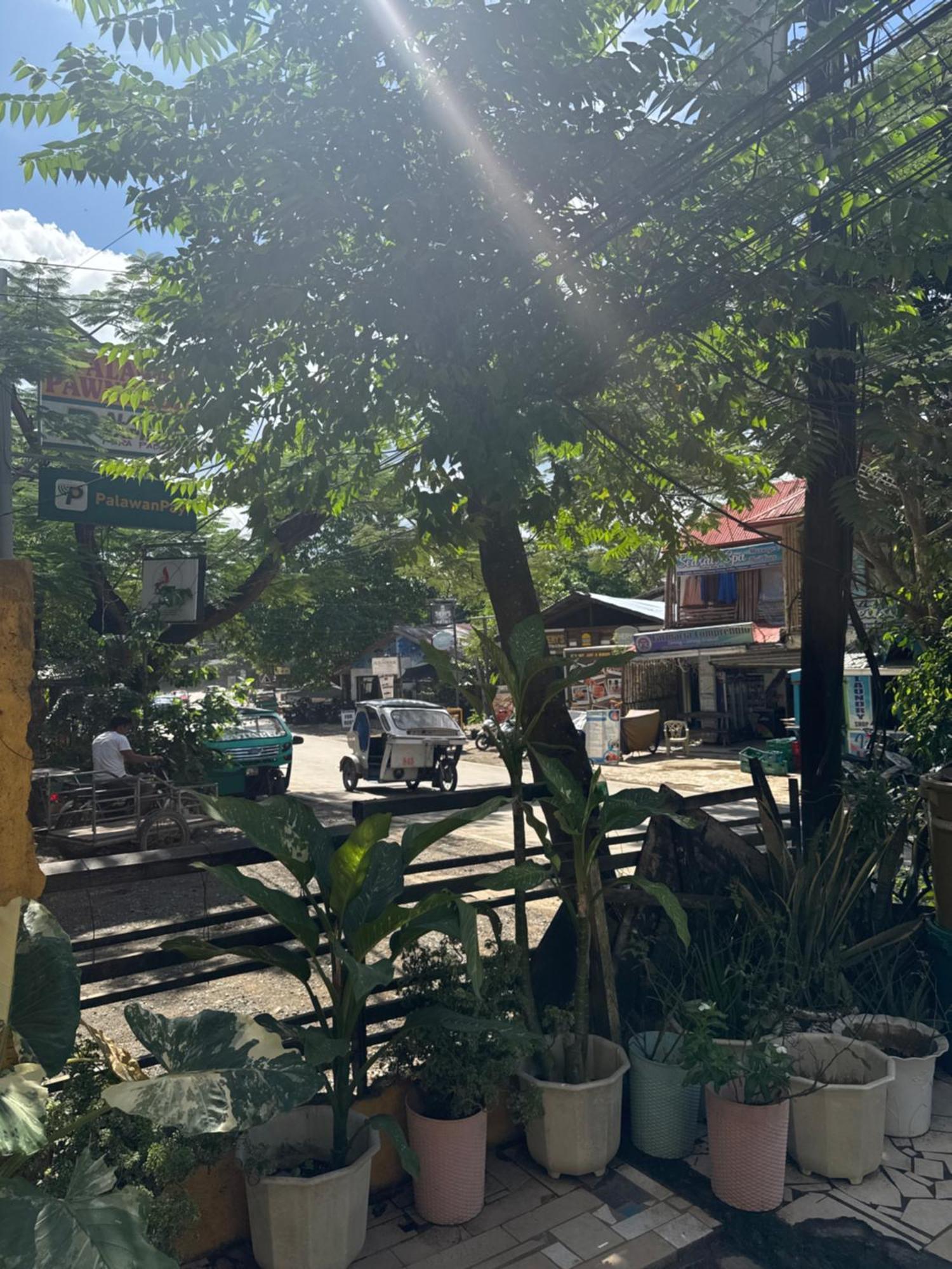 Buena's Haven Travelodge Guest house El Nido