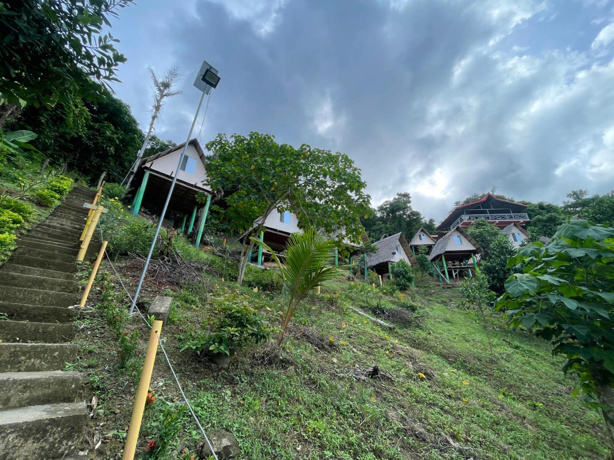 Forest Camp El Nido