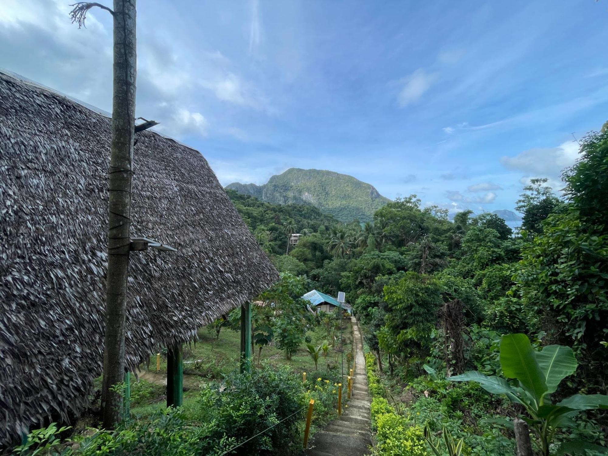 Campeggio Forest Camp El Nido
