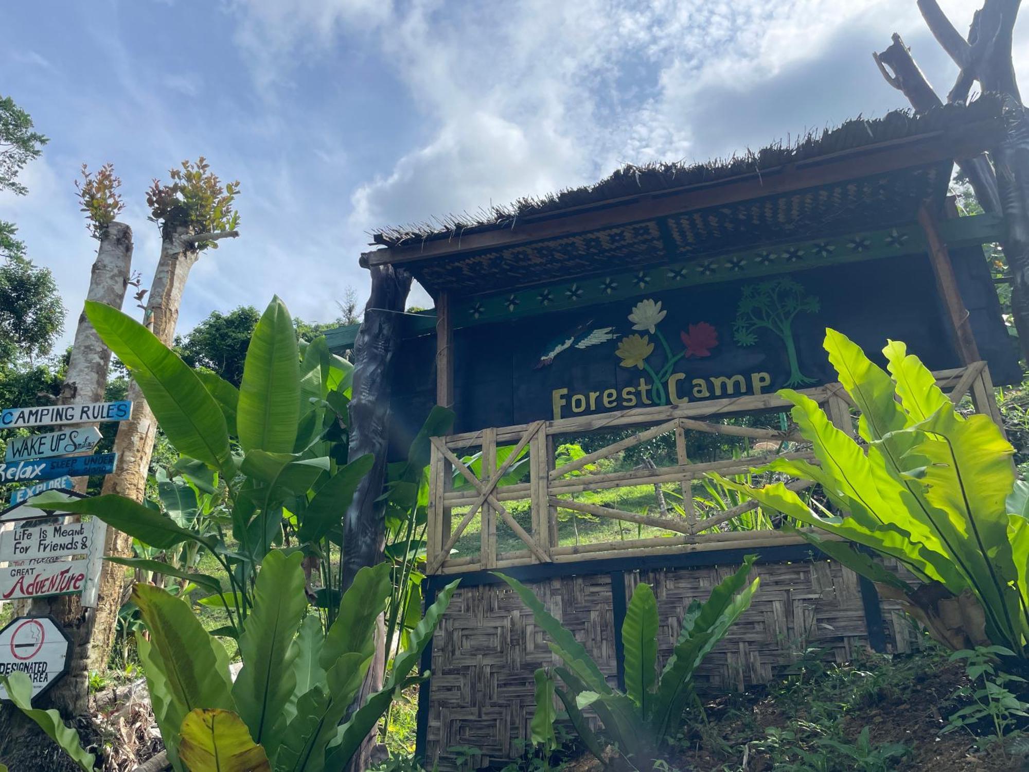 Forest Camp