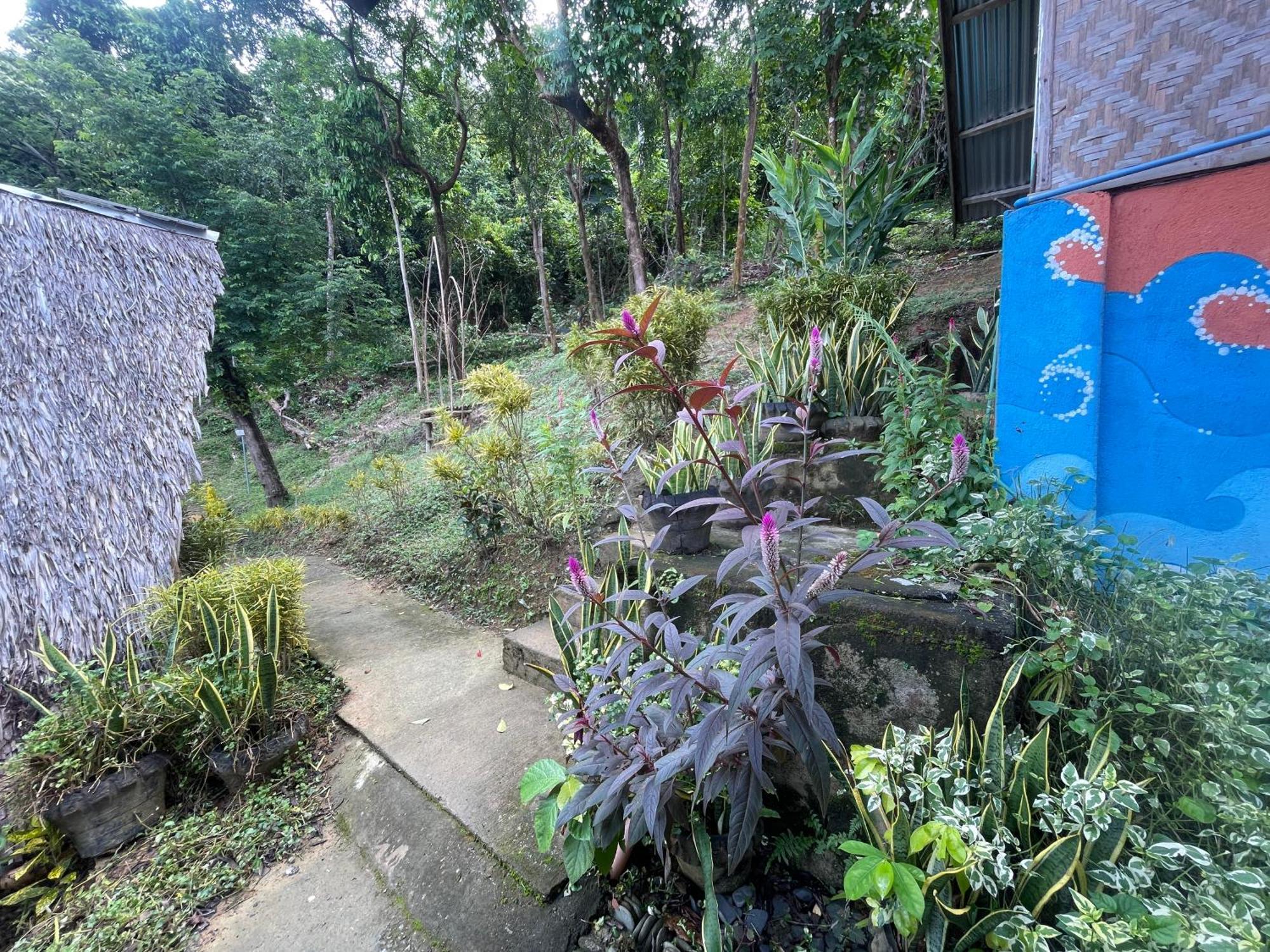 Forest Camp * El Nido