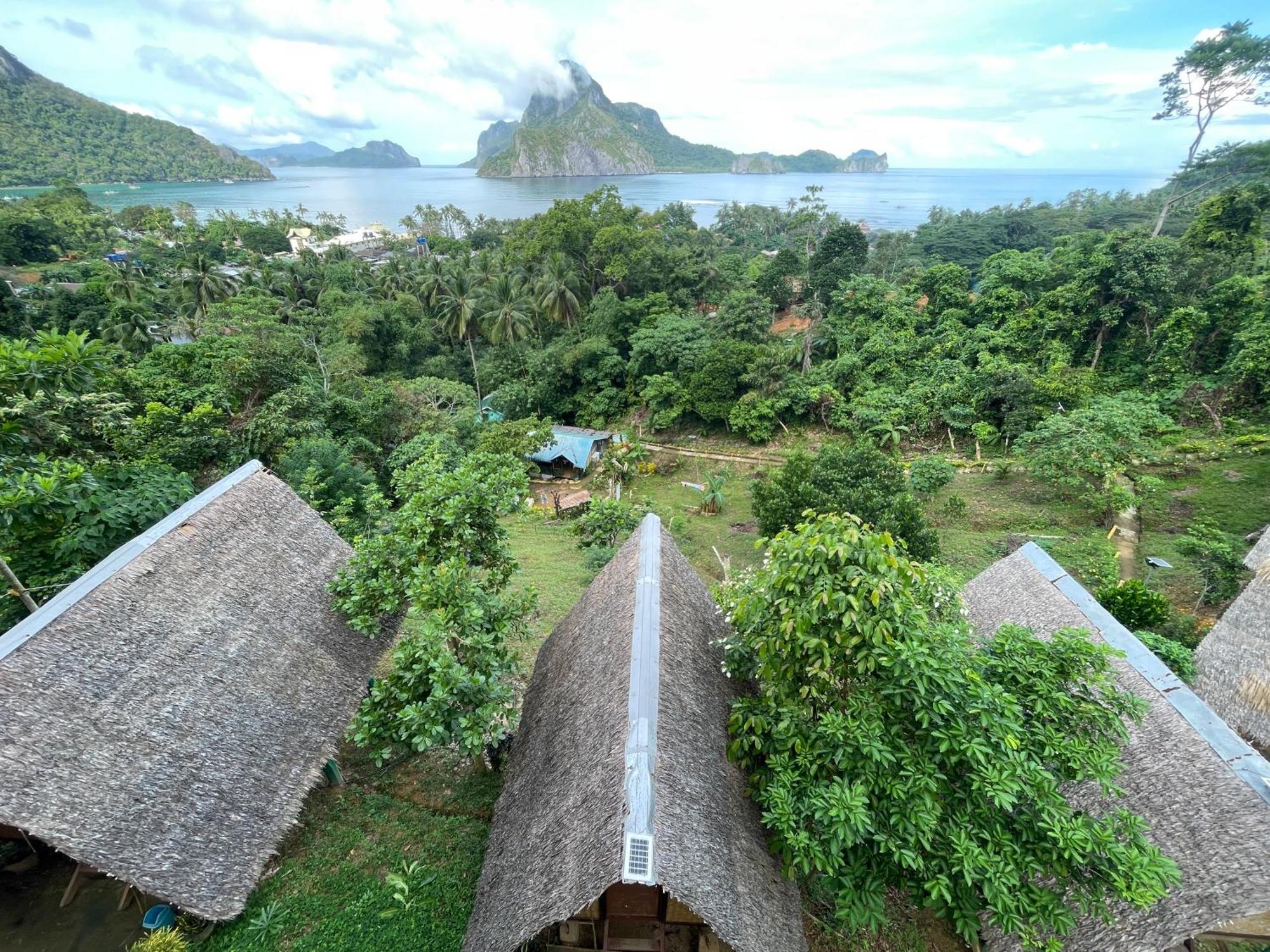 Forest Camp * El Nido
